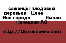 саженцы плодовых деревьев › Цена ­ 6 080 - Все города  »    . Ямало-Ненецкий АО